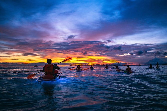 2-Hour Clear Kayak Illuminated Night Tour in Krabi - Railay at 6:00 pm: a smart time window for night wildlife