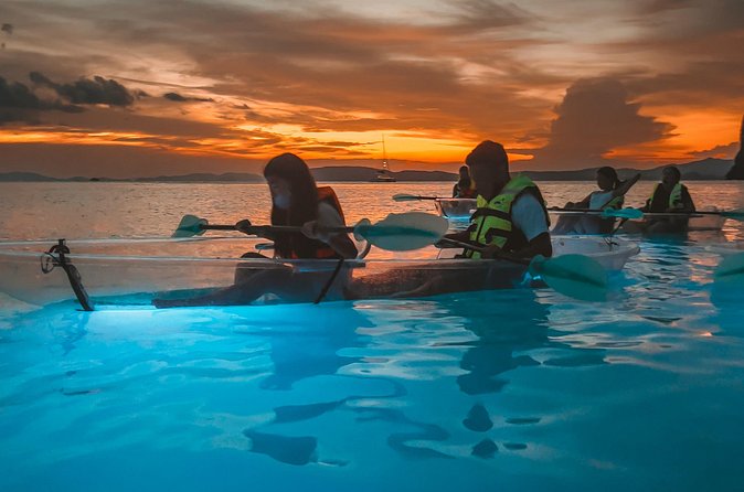 2-Hour Clear Kayak Illuminated Night Tour in Krabi - Bioluminescent plankton: how to make the big moment more likely