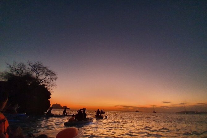 2-Hour Clear Kayak Illuminated Night Tour in Krabi - Who should book this clear-kayak night tour in Krabi
