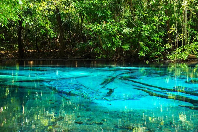 All day Krabi Jungle Tour (Hot Spring Water, Emerald Pool, Tiger Cave Temple) - From your hotel area to Khlong Thom: the morning setup