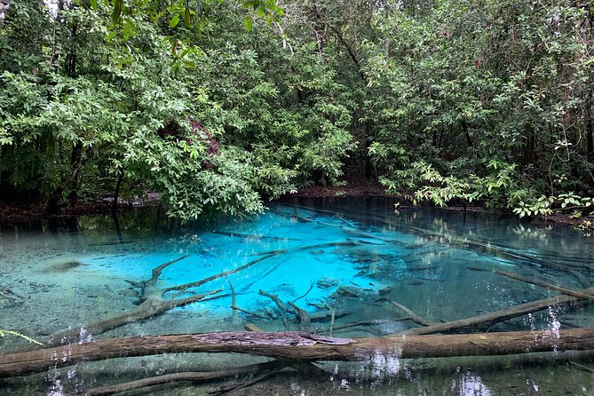 All day Krabi Jungle Tour (Hot Spring Water, Emerald Pool, Tiger Cave Temple) - What to pack so the day feels easy (not miserable)