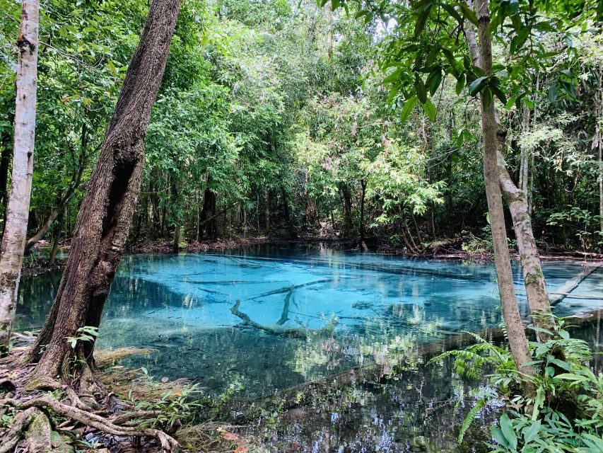 Ao Nang: Hot Spring, Emerald Pool & Tiger Cave Temple Tour - Thai Set Lunch: Solid Energy for the Big Climb