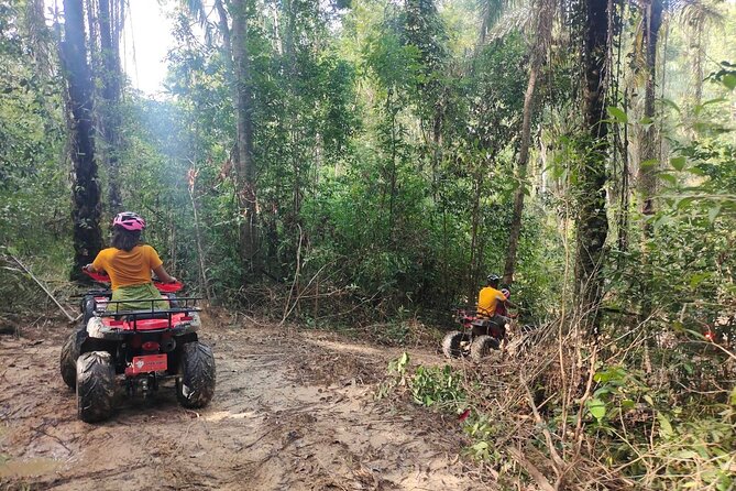 ATV Jungle Adventure in Krabi with Roundtrip Transfer - Entering the jungle loop: trails, plantations, and views