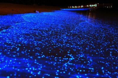 Bio Luminescent Swimming From Krabi - Daylight snorkel stops: Ko Ya Wa Sam to Thale Waek sandbar