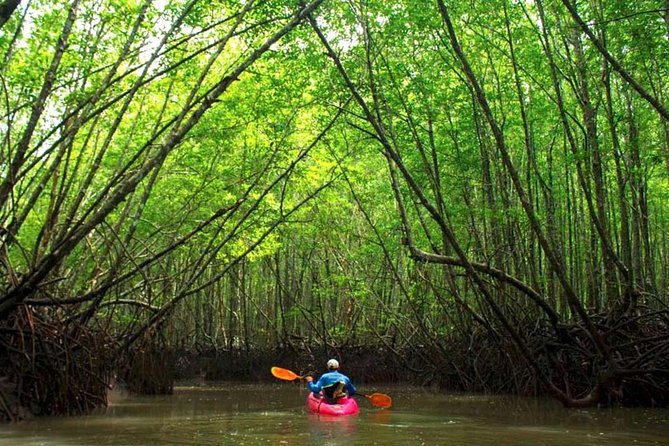 Deep Mangrove and Canyon Kayak Tour in Krabi - Key highlights worth your attention
