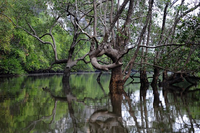 Deep Mangrove and Canyon Kayak Tour in Krabi - Paddling Reality: Fitness Level, Currents, and the Work It Takes