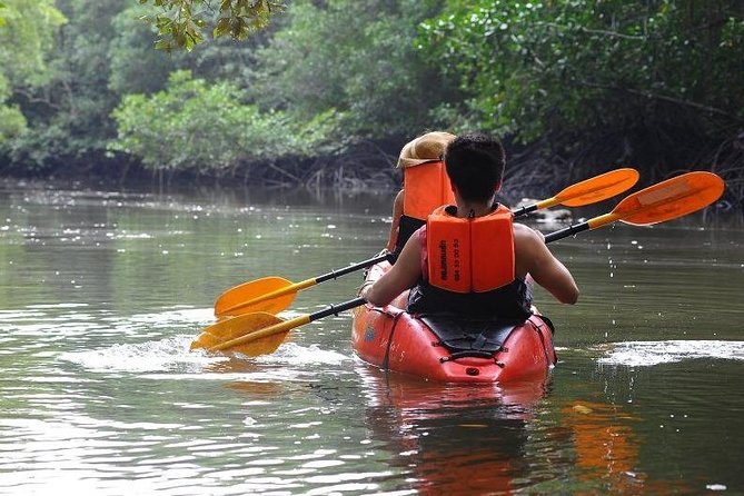 Deep Mangrove and Canyon Kayak Tour in Krabi - The Pace: Why Some Love It More Than Others