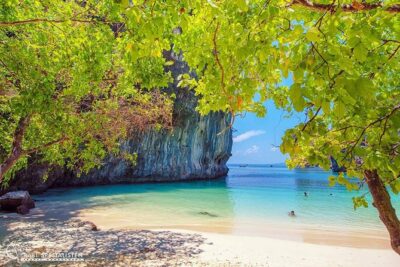 ECO Premium Island Hopping to Hong Island Tour by Longtail Boat - Getting There: Pickup Windows and a Small-Group Pace