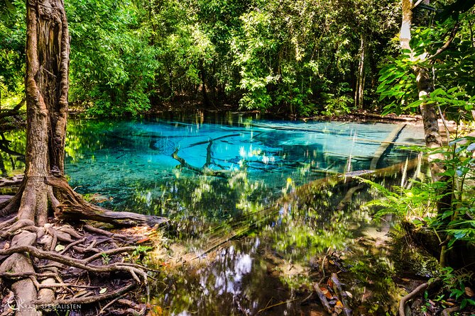 ECO Premium Jungle Hot Springs and Temple Tour - Emerald Pool and the Jungle Walk: Your Refreshing Midday Reset