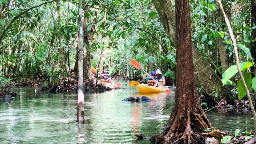 From Ao Nang: Kayaking at Klong Rud with Hotel Transfers - Kayaking to Klong Nam Sai: Mangroves, Forest, and Clear Water