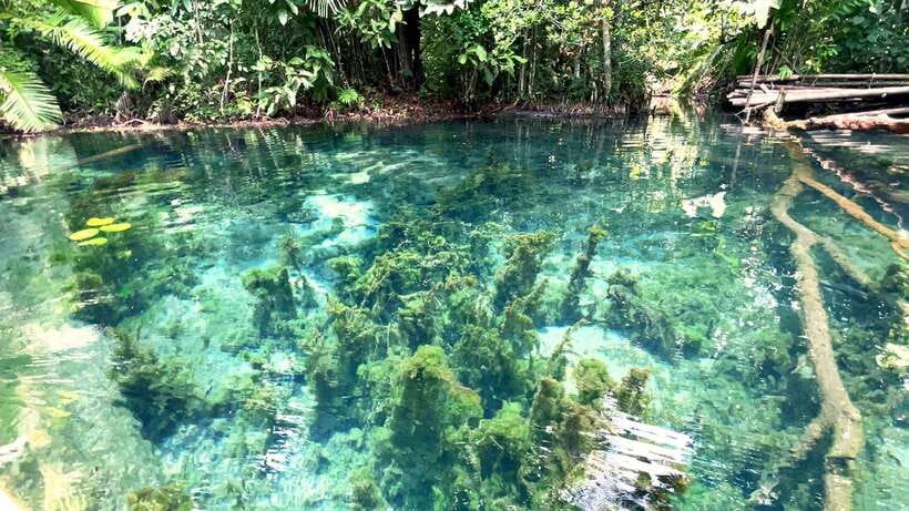 From Ao Nang: Kayaking at Klong Rud with Hotel Transfers - Price and Value Compared to Other Krabi Water Activities