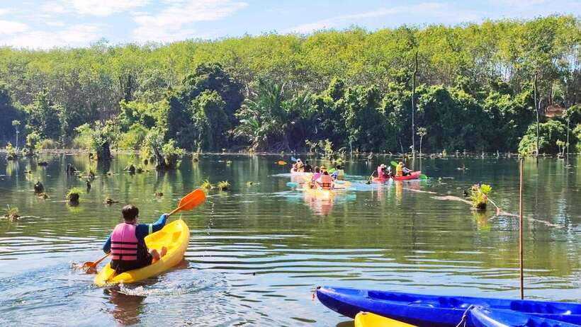 From Ao Nang: Kayaking at Klong Rud with Hotel Transfers - Who Should Book This and Who Should Skip It