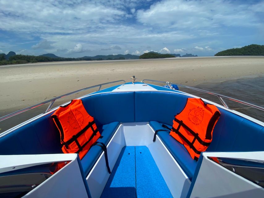 From Krabi: Phi Phi Island Full-Day Private Speed Boat Tour - The Value of a Private Speed Boat Around Phi Phi