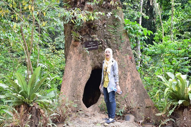 Full-Day Jungle Tour Including Tiger Cave Temple, Crystal Pool and Krabi Hot Springs - Lunch break: Thai food, refuel time, and keeping energy for the steps