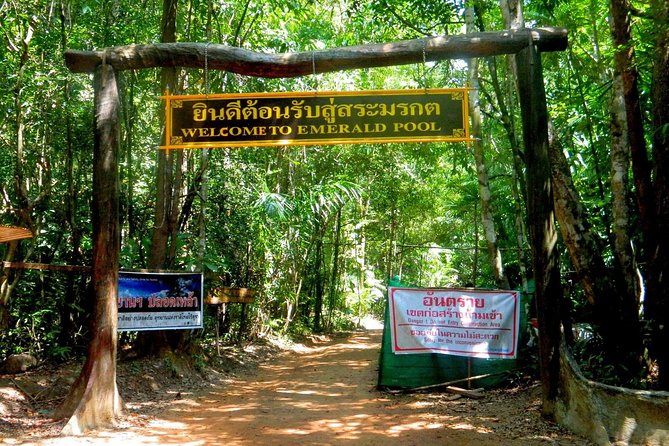Full-Day Jungle Tour Including Tiger Cave Temple, Crystal Pool and Krabi Hot Springs - Viewpoint time: making the most of the short window at the top