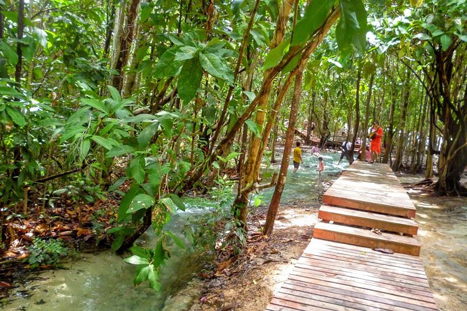 Full-Day Jungle Tour Including Tiger Cave Temple, Crystal Pool and Krabi Hot Springs - The pace problem: why this tour can feel rushed (and how to fix it)
