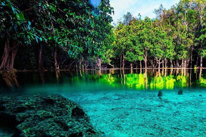 Half Day Jungle Tour to Emerald pool and Krabi Hot Spring - Timing and transport: why you might feel rushed (or not)