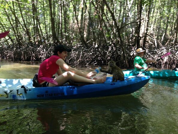 Half Day Kayaking at Ao Thalane Krabi - Quick Hits