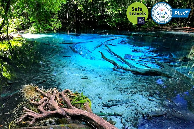 Jungle Tour to Emerald Pool, Krabi Hot Spring and Tiger Cave Temple - Namtok Ron hot spring waterfall: shaded soaking in the forest