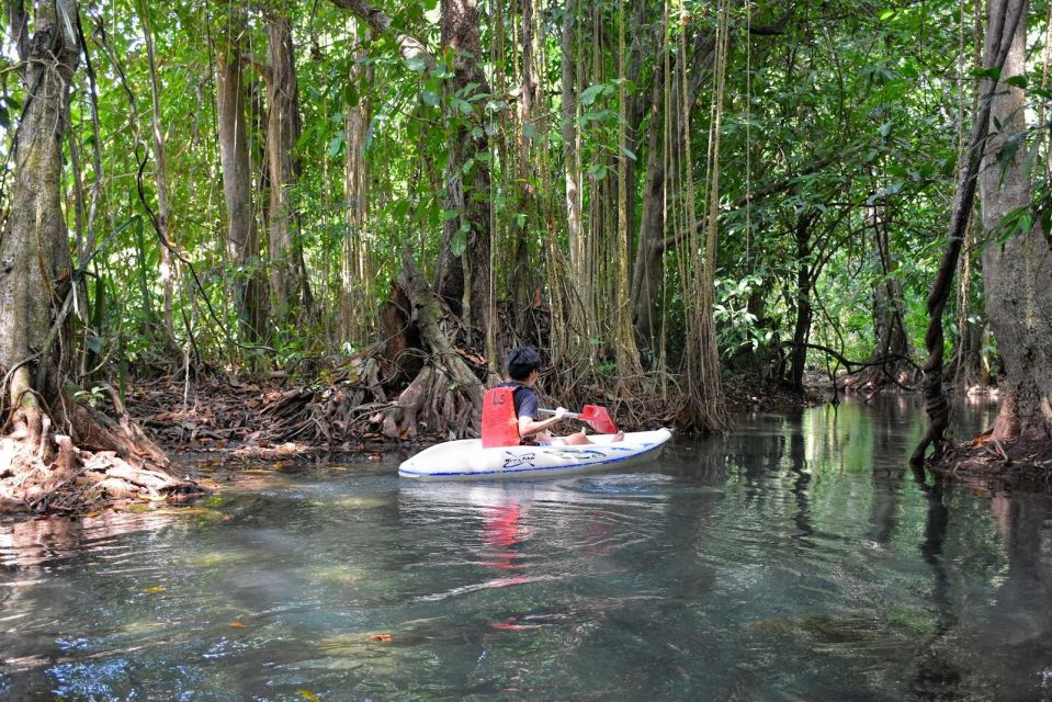 Kayaking and swiming klongrood - Kayaking through mangroves and rainforest waterways