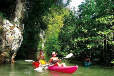Kayaking in Ao Thalane - Discover the Mangrove life - Stop 1: Ao Thalane mangroves, cliffs, and wildlife in your paddle lane