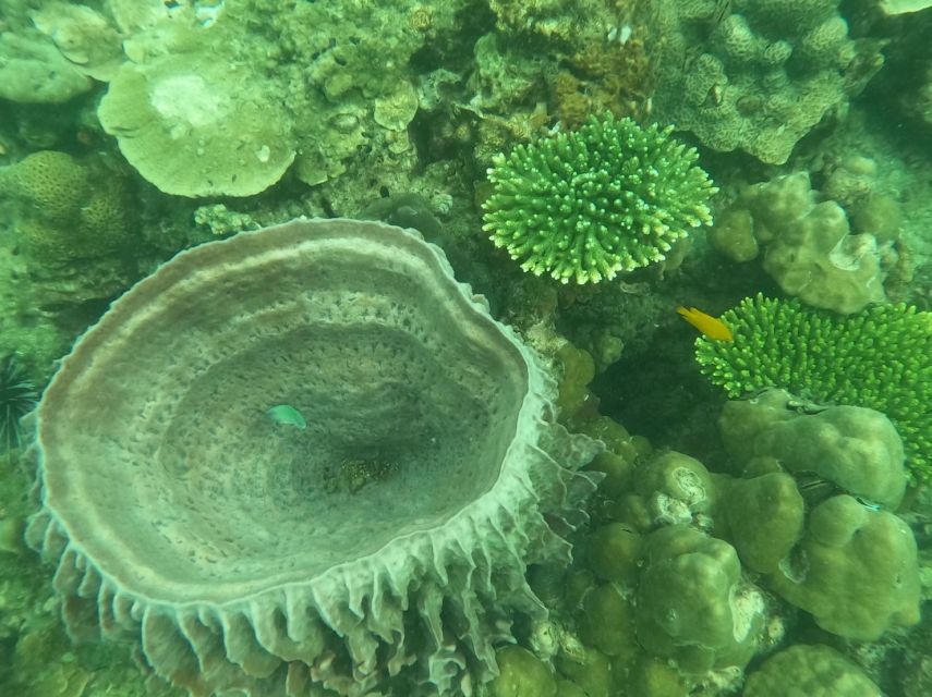 Krabi: 4 Islands & Krabi's Separated Sea Longtail Boat Tour - Key Things That Make This Tour Worth a Look