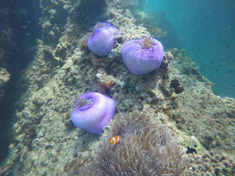 Krabi: 7 Islands Sunset Tour with Buffet Dinner & Snorkeling - What to pack (so you don’t spend the day fighting your own stuff)
