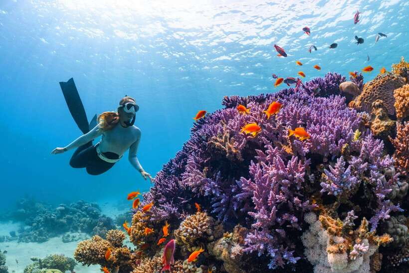 Krabi: 7 Islands Sunset Tour with Plankton Swim and BBQ - Logistics that can make or break the day