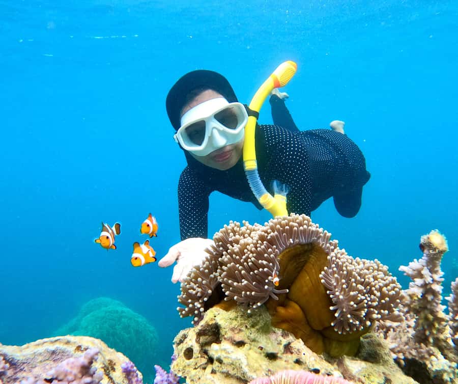 Krabi: Bioluminescent Plankton, Snorkeling & Sunset Tour - Ko Poda beach break: swimming, lunch, facilities, then sunset