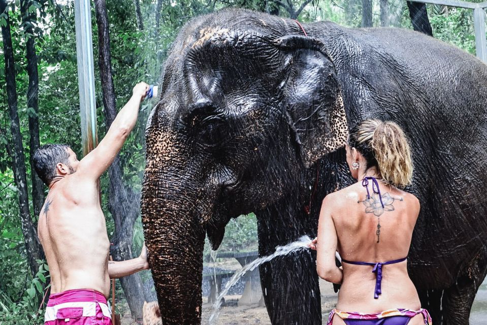 Krabi: Elephant Bathing Session at Krabi Elephant Shelter - Who this Krabi elephant bathing session is perfect for