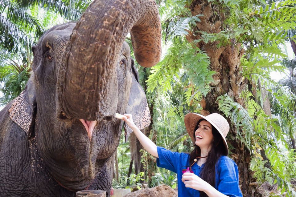 Krabi: Elephant Bathing Session at Krabi Elephant Shelter - Krabi Elephant Shelter: what makes the bathing session different?