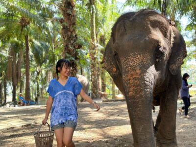 Krabi: Elephant Bathing Session at Krabi Elephant Shelter - Getting there from Ao Nang and Klong Muang (and where transfers leave you)