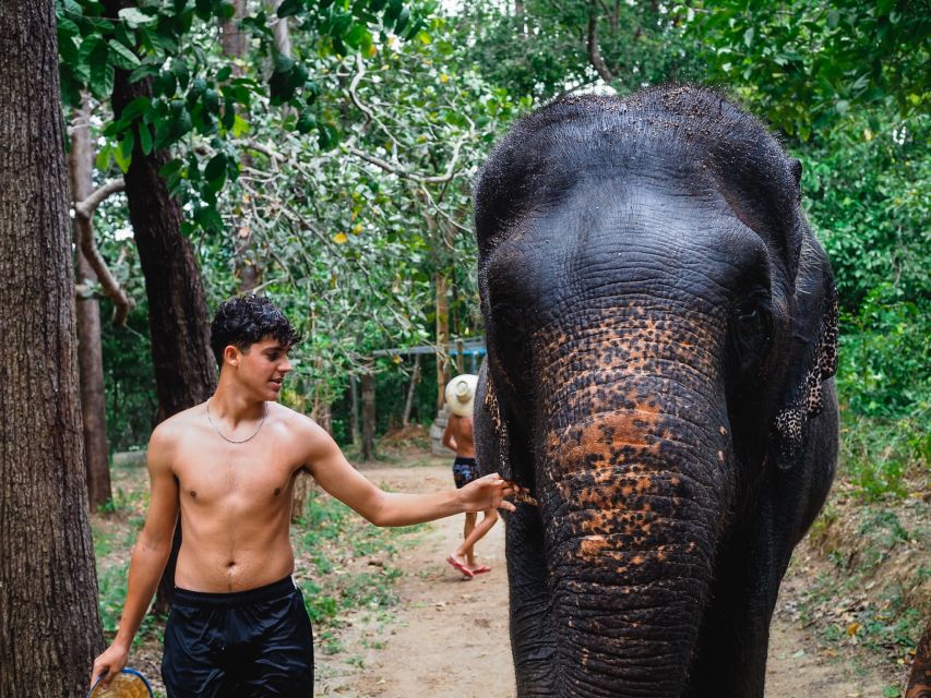 Krabi: Elephant Bathing Session at Krabi Elephant Shelter - Feeding time: how the guide helps you interact safely