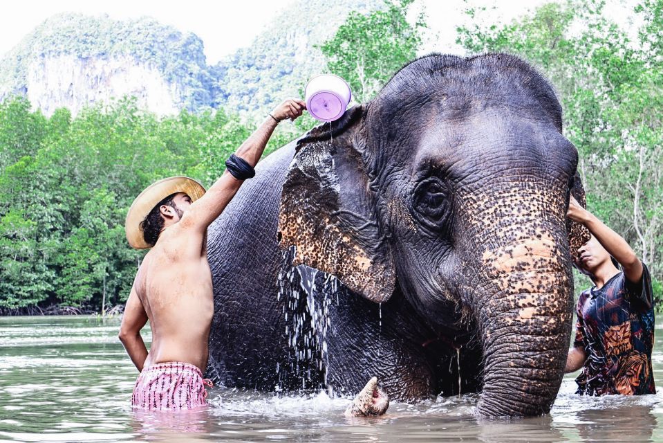 Krabi: Elephant Bathing Session at Krabi Elephant Shelter - Bathing and scrubbing in the water: what you actually do