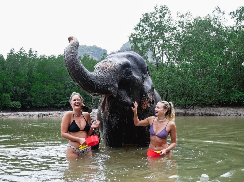 Krabi: Elephant Bathing Session at Krabi Elephant Shelter - Photos, coffee, and small perks that make the day easier