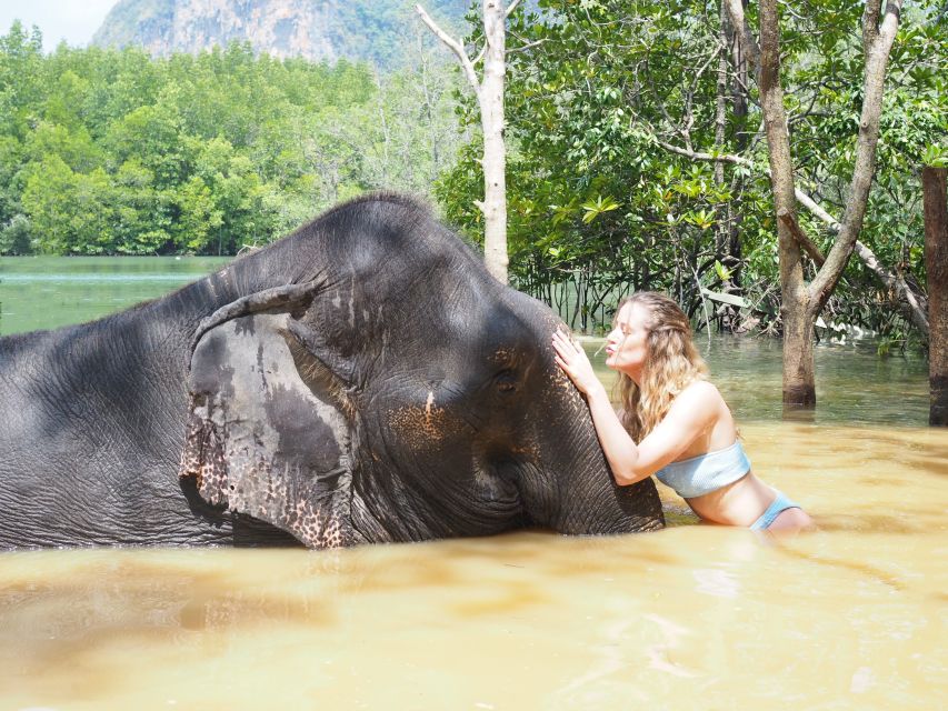 Krabi: Elephant Bathing Session at Krabi Elephant Shelter - Rules that keep things smooth (and what not to bring)
