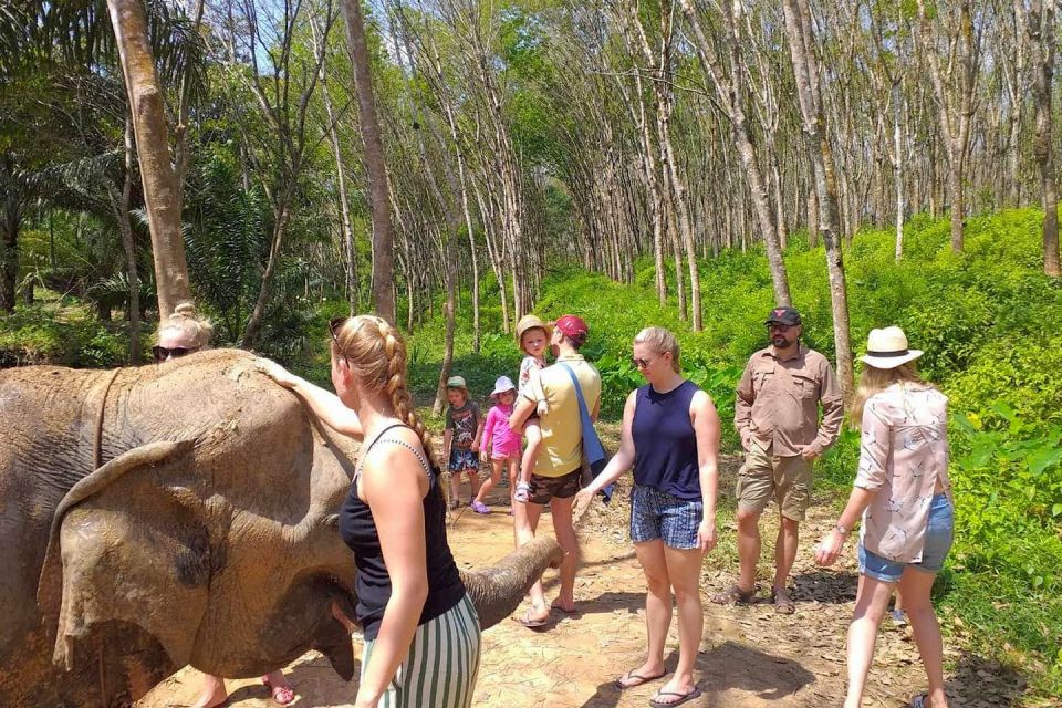 Krabi: Elephant Care House Guided Tour with Hotel Transfers - Key highlights that shape the day