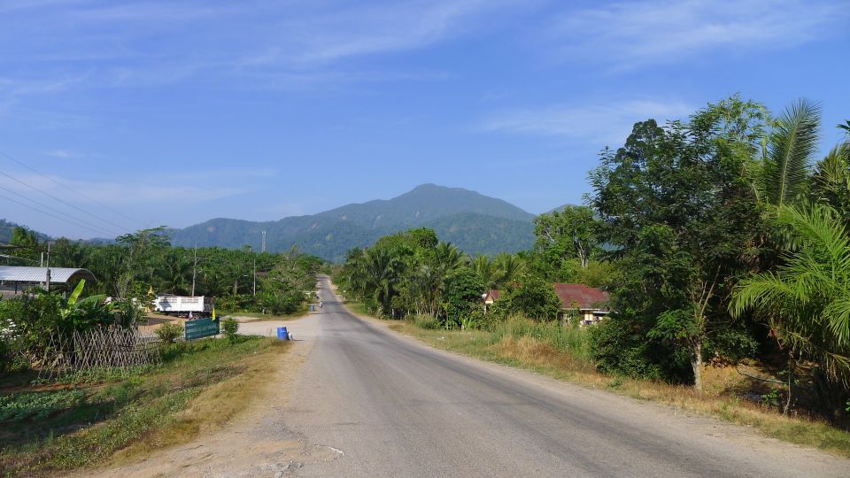 Krabi: Elephant Care House Guided Tour with Hotel Transfers - Khao Phanom Bencha National Park: a calmer elephant day near Krabi Town