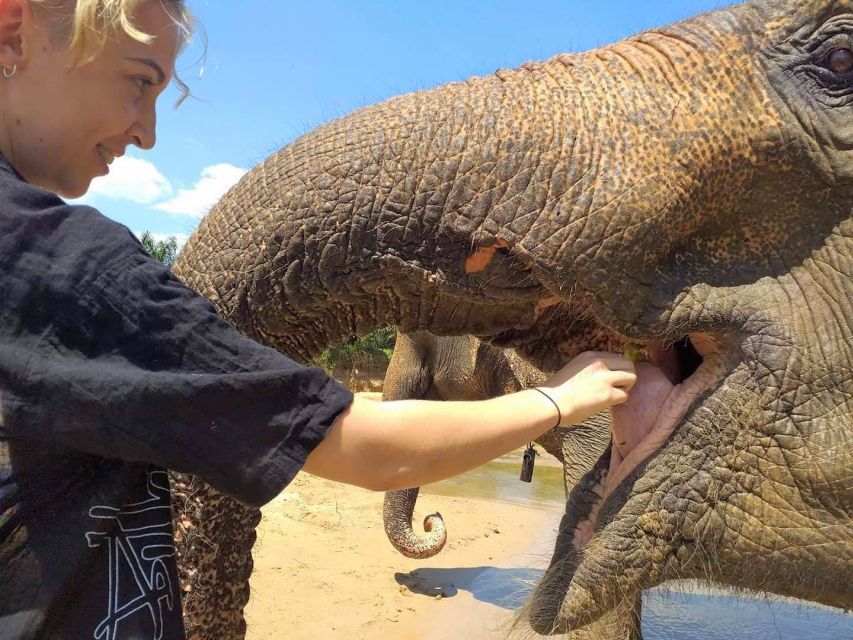 Krabi: Elephant Care House Guided Tour with Hotel Transfers - From your hotel to the safety briefing: how the day gets organized