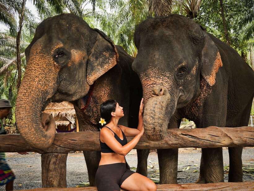Krabi: Elephant Feeding Program - Key things I think you’ll care about