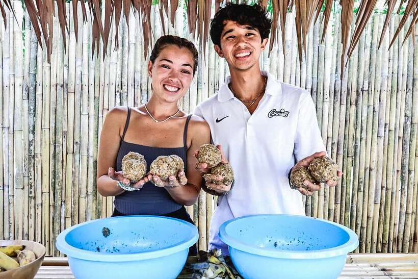 Krabi: Elephant Feeding Program - The value for $27: what you get (and what you should plan for)