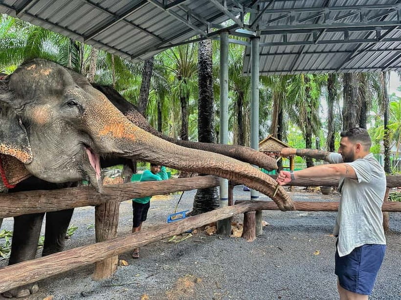 Krabi: Elephant Feeding Program with Food Preparation - Krabi elephant feeding with food prep: what this experience really is