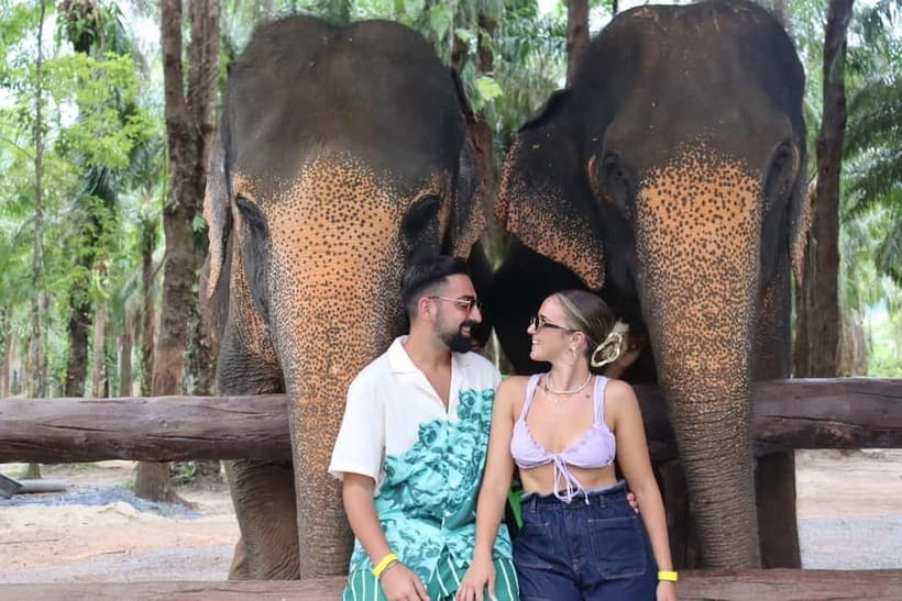 Krabi: Elephant Feeding Program with Food Preparation - Sanctuary time: retired elephants and what ethical care looks like