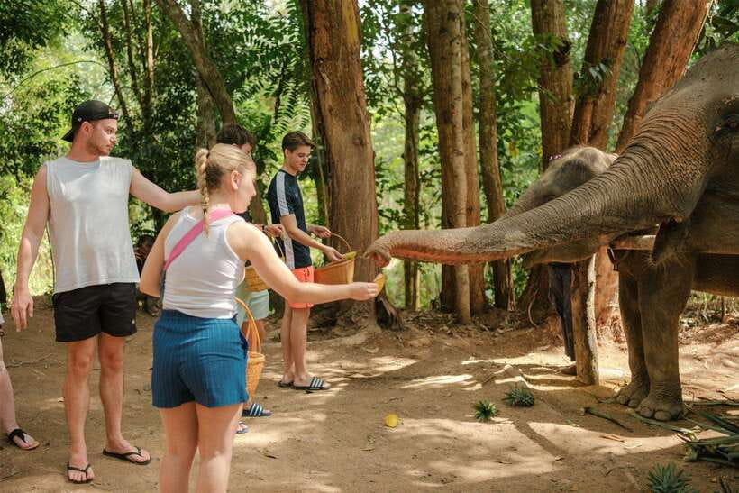 Krabi: Elephant Sanctuary (near Ao Nang) Visit - Key highlights worth your attention