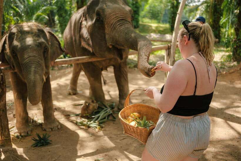 Krabi: Elephant Sanctuary (near Ao Nang) Visit - Snacks, drinks, and the end-of-session reset