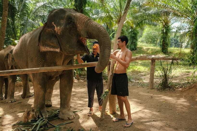 Krabi: Elephant Sanctuary (near Ao Nang) Visit - Who should book this (and who should skip it)
