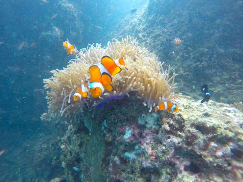 Krabi: Freediving and Snorkeling at Yawasam and Talu Island - Railay Beach Pass-By: A Nice Visual Wrap-Up