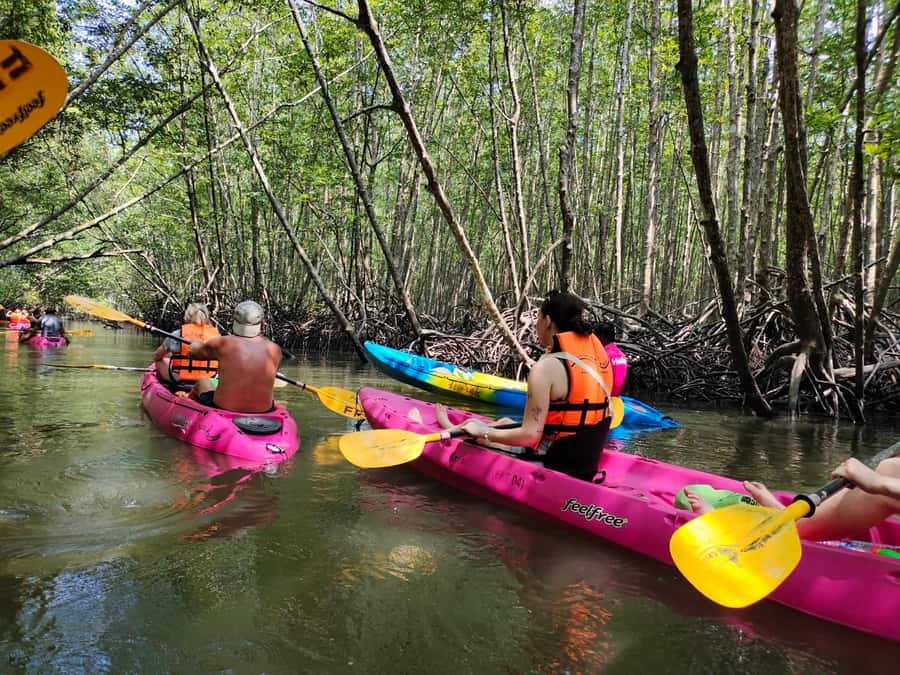 Krabi: Half-Day Kayak Adventure at Ao Thalane - Tides control the best route: plan your session, not just your date
