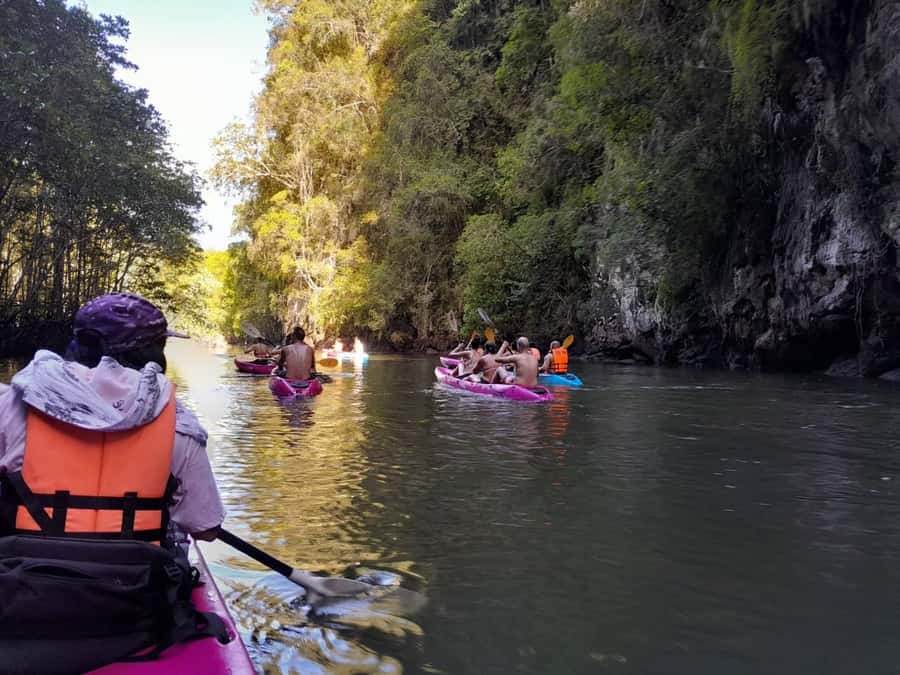 Krabi: Half-Day Kayak Adventure at Ao Thalane - Wildlife moments: what you might spot and why it feels personal