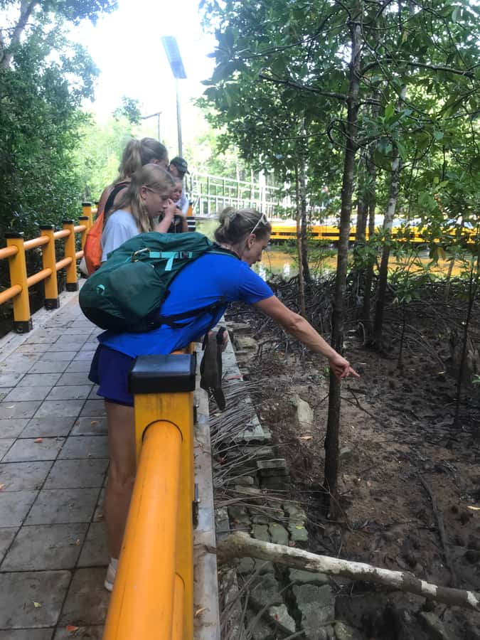 Krabi: Half-Day Mangrove Boat Trip And Khao Khanap Nam Cave - Should you book the Krabi mangrove boat trip and Khao Khanap Nam Cave?